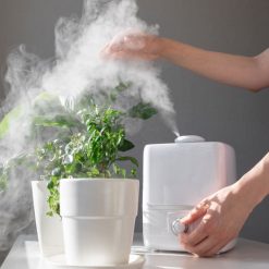 Plant Humidifiers